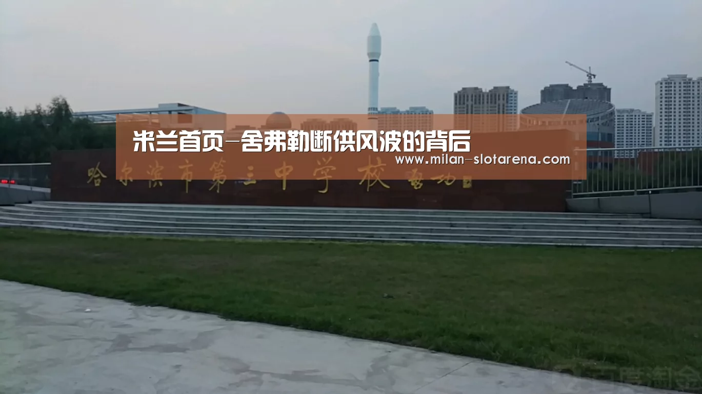 米兰首页-舍弗勒断供风波的背后(图2) 米兰首页