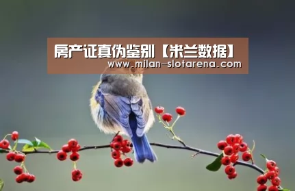 房产证真伪鉴别【米兰数据】(图2) 米兰首页