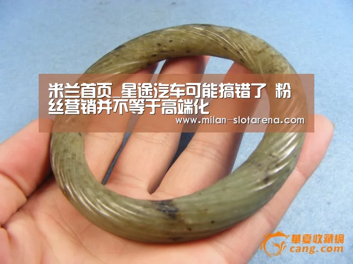 米兰首页_星途汽车可能搞错了 粉丝营销并不等于高端化(图1) 米兰首页