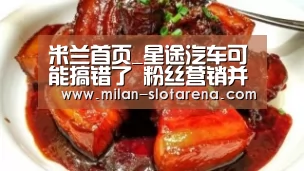米兰首页_星途汽车可能搞错了 粉丝营销并不等于高端化(图3) 米兰体验
