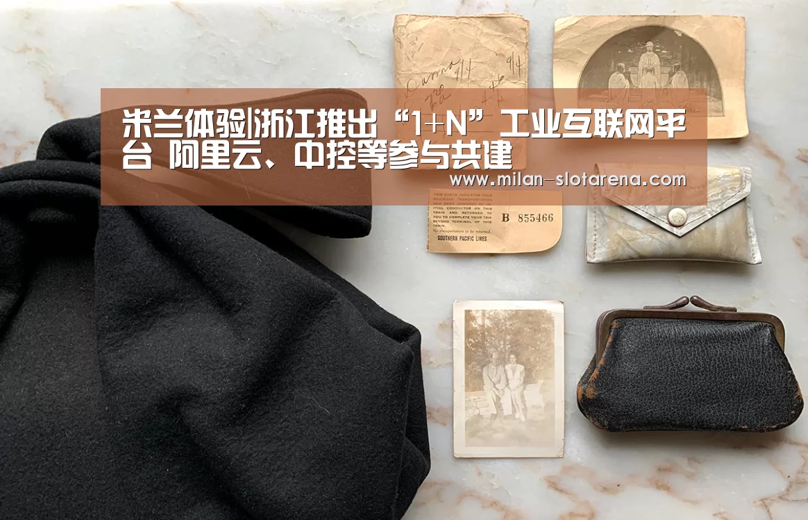 米兰体验|浙江推出“1+N”工业互联网平台 阿里云、中控等参与共建(图2) 米兰官网