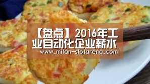 【盘点】2016年工业自动化企业薪水PK 看看有没有你家的!|米兰数据(图2) 米兰官网