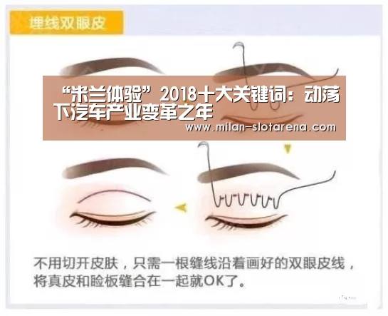 “米兰体验”2018十大关键词:动荡下汽车产业变革之年(图1) 米兰官网